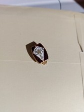 Spilla pins smaltata usato  Vignola