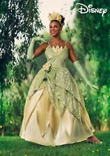 Disney princess frog for sale  Mankato