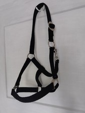 Pony shetty halfter gebraucht kaufen  Aldersbach