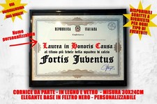 Laurea quadro tifoso usato  Italia