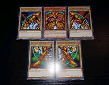 Yugioh exodia fobidden for sale  Saugus