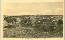 28. beauce. moisson d'occasion  France