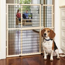 Mypet north states for sale  USA
