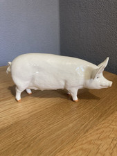 Beswick boar for sale  COLCHESTER