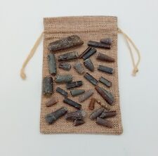 Bag belemnites fossil for sale  BRISTOL