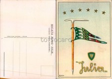 Alpini brigata julia usato  Italia