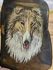 shetland sheepdog dog for sale shetland sheepdog dog for sale SITTINGBOURNE