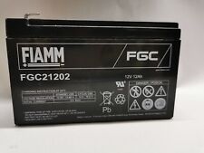 Batteria fiamm fgc21202 usato  Feldthurns