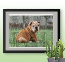 English bulldog puppy for sale  Cleveland