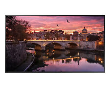 Display samsung risoluzione usato  Torino