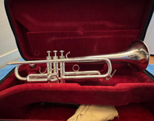 Tromba schilke bb usato  Val Masino