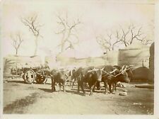 Chine circa 1900 d'occasion  Saint-André-de-Cubzac