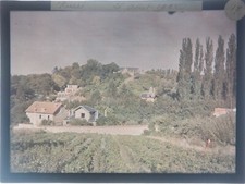 Autochrome 9x12cm reuil d'occasion Autochrome 9x12cm reuil d'occasion  Paris IX