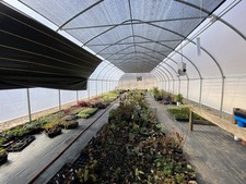 Greenhouse sale 32 for sale  Jarrettsville