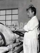 Vintage animali vitelli usato Vintage animali vitelli usato  Roma