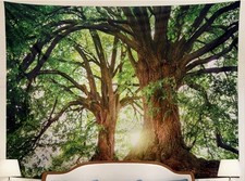 Forest nature tree for sale  Ambridge