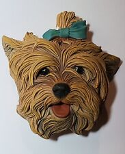 Bossons yorkshire terrier for sale  Austin