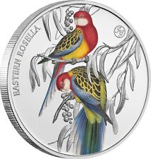 Dollar eastern rosella gebraucht kaufen  Deutschland