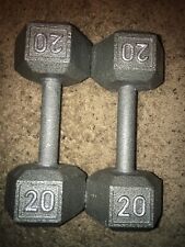 Pair 20lb dumbbells for sale  Las Vegas