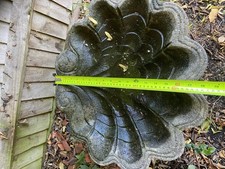 Antique sea shell for sale  HOOK