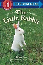 Little rabbit step for sale  LONDON