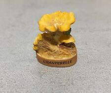 Feve champignon chanterelle d'occasion  Brive-la-Gaillarde