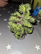 Aquarium deko gebraucht kaufen  Meppen