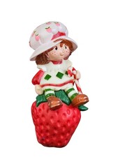 1980 strawberry shortcake for sale  Indianapolis