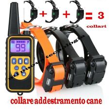 Collare 800m cani usato  Cardito