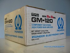 Pioneer 120 new usato  Roma