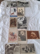 Cartoline animali non usato  Roma