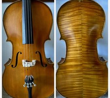 Stentor student cello for sale  LYDNEY