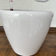 Lechuza classico weiß gebraucht kaufen  Algermissen