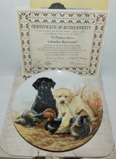 Neat knowles dog for sale  Cedarville
