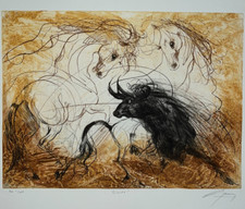Mirada taureau cheval d'occasion  Pluvigner