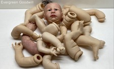 reborn baby accessories for sale  Seattle