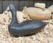 2018 coot decoy for sale  Millington