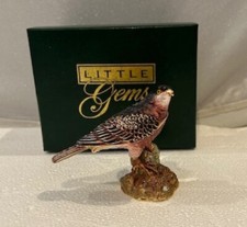 Little gems sparrow for sale  NORWICH