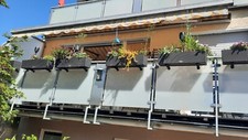 Markise elektrisch gebraucht gebraucht kaufen  Solingen