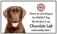 Regalo cane cioccolato usato  Spedire a Italy