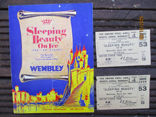 Sleeping beauty ice for sale  READING