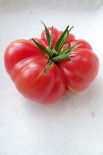 Pinon con volantes - ensalada rosa estriada tomate del suroeste de Estados Unidos segunda mano  Embacar hacia Argentina