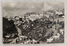 Matera grottole festa usato  Morra de Sanctis