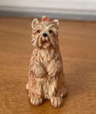 Very small dog d'occasion  Expédié en Belgium