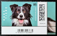 hunde border collie gebraucht kaufen hunde border collie gebraucht kaufen Oberhausen