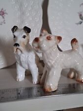 Fox terrier one for sale  ABERTILLERY