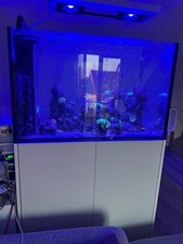Meerwasseraquarium komplett gebraucht kaufen  Mülheim an der Ruhr