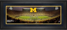 Michigan wolverines framed d'occasion  Expédié en Belgium
