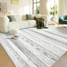 Area rugs living for sale  USA