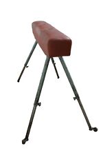 Alter springbock sportgerät gebraucht kaufen Alter springbock sportgerät gebraucht kaufen  Pirna, Dohma, Struppen